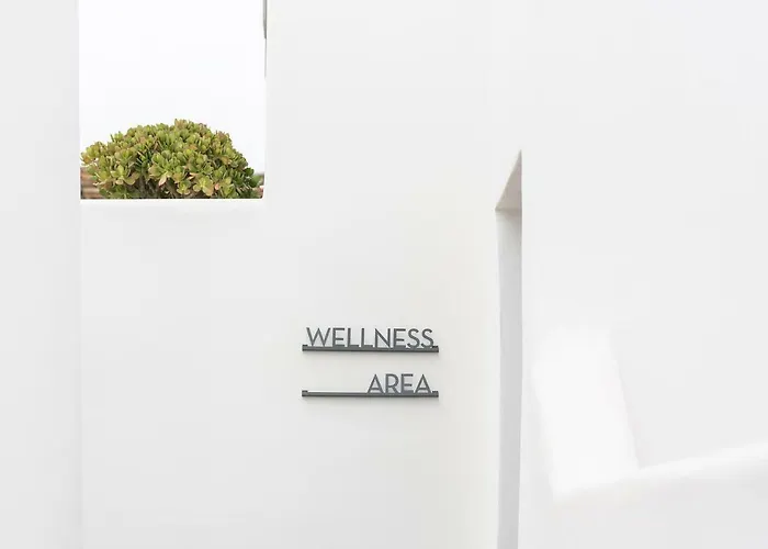 Hotel Chora Adults Only 2*